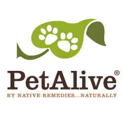 Pet Alive